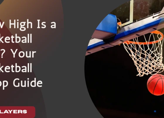 How High Is a Basketball Rim